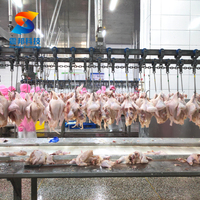 Équipement d'abattage de poulet 300BPH-15000BPH Prix ligne d'abattoir de poulet entièrement automatique