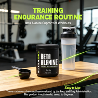 ODM/OEM Créatine monohydrate pure naturelle végétalienne, complément en poudre pour la croissance musculaire et la gestion de l'énergie avant l'entraînement, pour adultes, 500 g