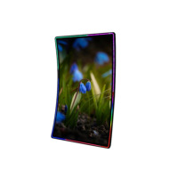 Monitor de pantalla táctil para juegos, Monitor LCD curvo de 43/55 pulgadas ELO 3M RS232, máquinas de juegos, monitores de pantalla táctil
