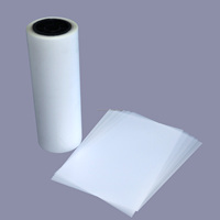 75um Película de transferencia DTF recubierta de un solo lado reflectante Rollo de 0,30x100M con papel de transferencia de acabado reflectante y tipo de película