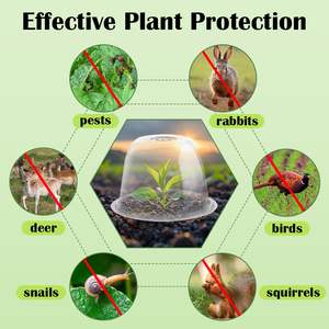 Couverture de pépinière hydroponique en plastique PET isolé miniature de haute qualité pour outils de jardinage, jetable, transparente, écologique - Product Image 3