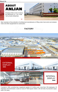 رافعة كهربائية ذات ذراع متحرك بقدرة 2 طن للبيع - Product Image 6