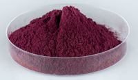 Leveren Natuurlijk Black Vlierbessfruit Extract Anthocyanidines 10% 25% Vlierbessenextract