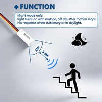 Mini interrupteur à détecteur de mouvement PIR 3,7V-24V avec capteur de lumière, détection automatique jour/nuit pour bande LED, éclairage de chevet et de placard