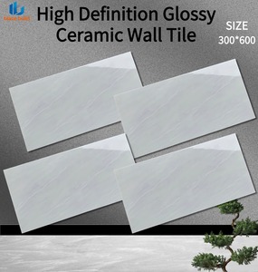 Nuove Piastrelle in Ceramica Lucida 300x600mm con Motivo Continuo Blu-Grigio per Villa Moderna, Bagno, Antiscivolo - Product Image 1