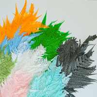 Boîte Cadeau de Fleurs Éternelles Préservées, Matériel DIY, Feuille de Fougère sous Cloche en Verre, Technique de Séchage Naturel, Avantage Prix Usine