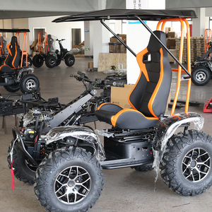 Scooter elettrico per tutti i terreni da 6000W 4WD con batteria da 50Ah e tettuccio. Non solo un scooter, ma una bestia. - Product Image 1