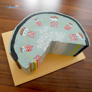Modèle de plante en PVC écologique, structure de tige dicotyléenne, modèle de tige de tournesol - Product Image 5