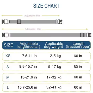 Fabricante OEM ODM logotipo personalizado patrón poliéster suave ajustable perro entrenamiento <span class=keywords><strong>Collar</strong></span> diseñador personalizado perro mascota collares - Product Image 6