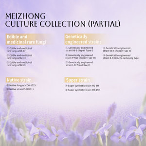 <span class=keywords><strong>Mascarilla</strong></span> facial de lavanda-Antiinflamatorio calmante fermentado <span class=keywords><strong>para</strong></span> la <span class=keywords><strong>piel</strong></span> <span class=keywords><strong>sensible</strong></span> aceitosa del acné, máscara purificadora de poros de reducción de enrojecimiento - Product Image 5