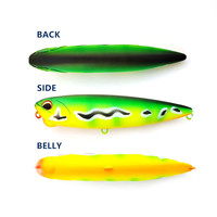 MISTER LURE matériel de pêche 5g 8.5g 14g 20g appât pour bar longue coulée crayon leurre stickbait eau douce