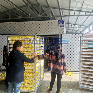 Secador comercial de hierbas de hojas de té, equipo de secado de crisantemo rosa, máquina de secado de flores de hibisco - Product Image 3