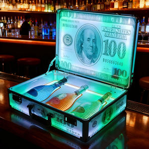 Décoration de fête amusante : Valise lumineuse Dollar US avec billets LED couleur personnalisée pour affichage publicitaire de bouteilles, facile à utiliser - Product Image 2