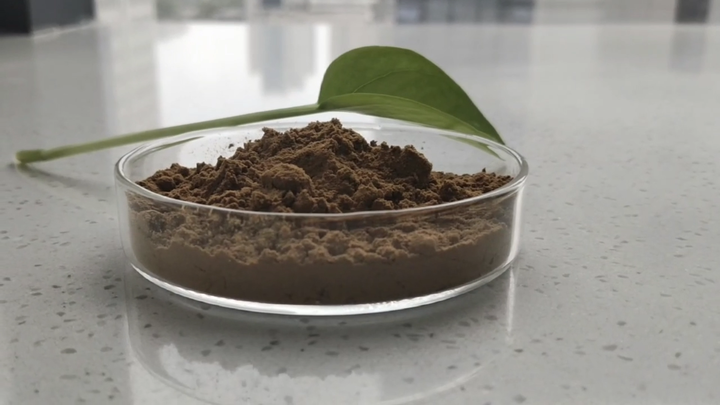 Tea Saponin Powder supplier