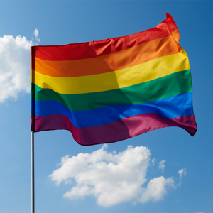 Fábrica <span class=keywords><strong>de</strong></span> alta calidad 3x5 pies Bandera del orgullo tradicional Banderas coloridas Comunidad LGBT 6 colores a prueba <span class=keywords><strong>de</strong></span> agua - Product Image 2