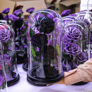 Véritable Rose Naturelle Belle Enchantée Fête des Mères Coffret Cadeau Décor Éternel Pour Toujours Rose Éternelle Fleur Préservée dans un Dôme en Verre Led - Product Image 6