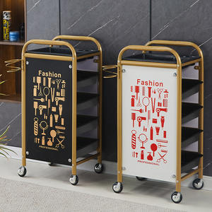 BLISSLIFE outils <span class=keywords><strong>de</strong></span> coiffure moderne or détachable salon <span class=keywords><strong>de</strong></span> coiffure chariot roues chariot <span class=keywords><strong>de</strong></span> coiffure-cheveux sans enchevêtrement - Product Image 2