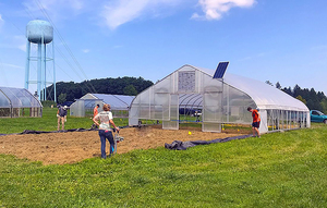 Faible coût économique de la tomate Tunnel <span class=keywords><strong>Film</strong></span> <span class=keywords><strong>plastique</strong></span> <span class=keywords><strong>Serre</strong></span> pour légumes - Product Image 3