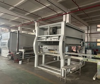 Machine industrielle automatique de peinture de panneaux de bois 2500 mm/min, équipement de revêtement par pulvérisation à grande vitesse à mouvement alternatif