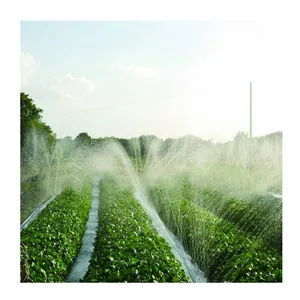 Macchina professionale per la produzione di nastro spray per tubo flessibile dello spruzzatore del sistema di irrigazione per la nebbia del parco
