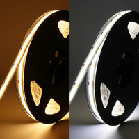 Bande lumineuse LED RGBIC Dreamcolor Flex COB Stripe tira de luces Adressable Programmable 12 24 volts Digital RGB IC