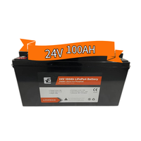 Baterai Surya lithium lifepo4 24v, 100AH 150Ah 200ah 300ah 400ah dengan bms pintar untuk penyimpanan energi rumah