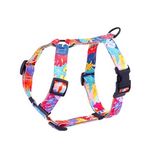 Arnés Cómodo y Ajustable para Perro con Sublimación, <span class=keywords><strong>Collar</strong></span> y Correa de Poliéster con Transferencia Térmica - Product Image 1