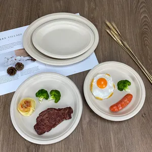 6 7 9 10 Inch Disposable Plate Biodegradable Tableware Paper Tableware Sugarcane Bagasse Plate Sugar Cane Plates