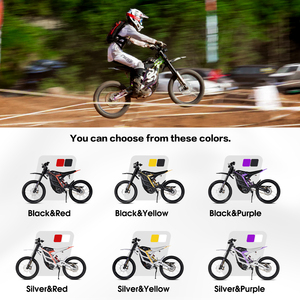 Dirt Bike électrique rapide 72v 10kw Mid Motor 79Bike Falcon Pro Electric <span class=keywords><strong>Enduro</strong></span> Motorcycle Mountain Dirt E Bike en noir et rouge - Product Image 5