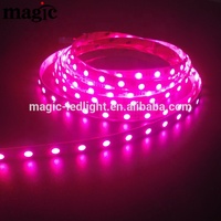 Bande LED intelligente 60 LED par mètre SPI Pixel 12V 24V RGBW 2700K 4000K 6000K adressable numérique Ws2814