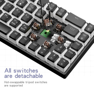 Russian Custom Esports Mechanical Keyboard RGB Hot Swappable Blue Red <b>Switch</b> 68 Keys Layout Wired Gaming Computer Peripherals - Product Image 4