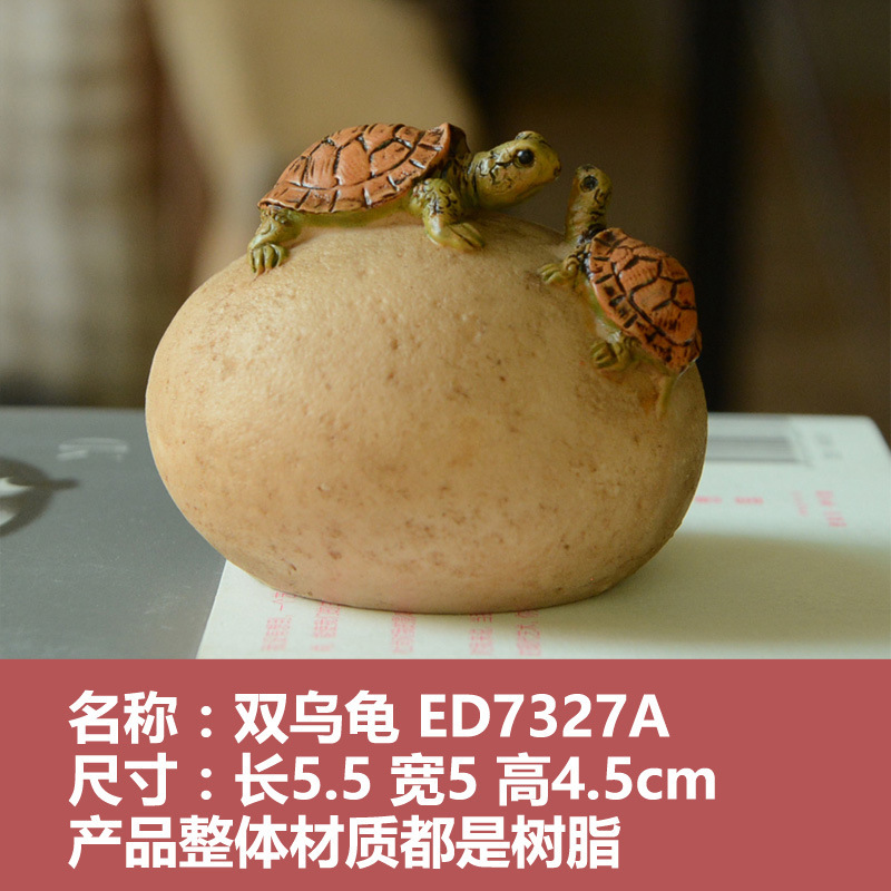 Double Tortue - ED7327A