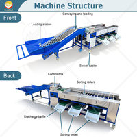 ORME Automatische Tomaten-Aardappel Sorteermachine Kleine Groente Sorteermachine Appel-Olijf Reinigings- en Sorteermachine