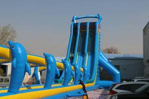 WINSUN Customizable <strong>50m</strong> Giant Adult Hipster <strong>Slip</strong> <strong>and</strong> <strong>Slide</strong> <strong>Inflatable</strong> Water <strong>Slide</strong> - Product Image 3