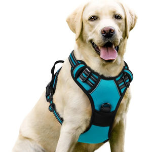 Vendita calda imbracatura per animali da compagnia di dimensioni personalizzate in Nylon per cani Set di lusso alla moda gilet traspirante per cani per prevenire la corsa - Product Image 4