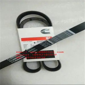 3028521 Belt