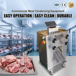 Máquina Ablandadora <span class=keywords><strong>de</strong></span> Carne Eléctrica Automática <span class=keywords><strong>de</strong></span> Acero Inoxidable 304 con Certificación CE, para Uso Comercial en Restaurantes y Carnicerías - Product Image 1