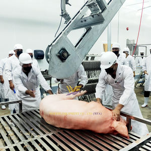 Grande macello 100 suino Per ora lavorazione della carne umana attrezzature Per macello suino con attrezzature Per macello suino - Product Image 6