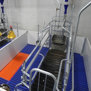 Soluciones Completas para Parideras: Jaulas, Acolchado y Equipamiento para Cerdas - Product Image 1