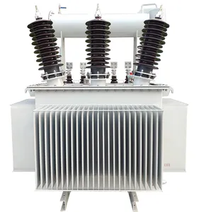 Oil immersed power transformer 3150 3000 6300 kva 10000kva 24000kva 25000 kva 20000kva transformer