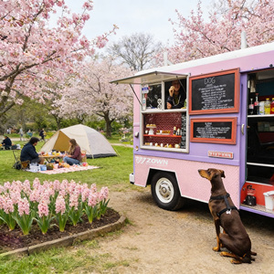 Energy Saving Electric Food Van Mobile Catering Cart with Refrigerator and Fryer - Product Image 1