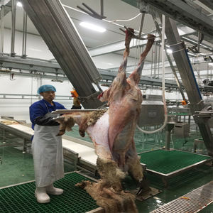 Ligne complète de traitement des carcasses de moutons et de chèvres pour les abattoirs de moutons et de chèvres - Product Image 5