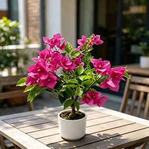 High Quality Real Touch Artificial Silk Bougainvillea <b>Trees</b> Durable Indoor Desktop Plants - Product Image 3