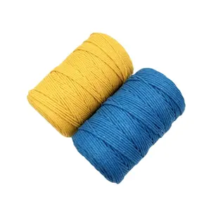 Corda di cotone intrecciata decorativa colorata naturale da 4mm per Macrame