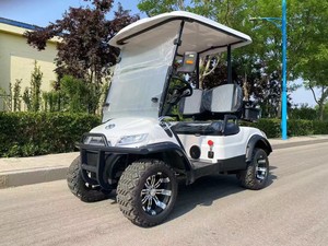 Carrito de Golf Eléctrico Blanco de 2 Plazas con Toldo, Certificado CE, Alcance de 90 km, Vehículo Todoterreno para Turismo - Product Image 5