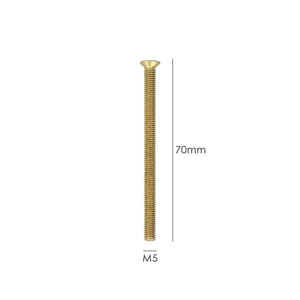 Vite di ricambio per cilindro Europrofile M5x70 - Product Image 2