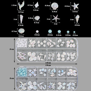 Boîte de 12 compartiments de breloques 3D en résine pour nail art, motifs coquillages marins d'été assortis, miniatures, pour décoration de vacances, vente en gros en vrac pour ongles - Product Image 3