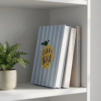 Ensemble de faux livres pliables en carton rigide rayé bleu, ornements creux pour l'affichage en boutique, à domicile ou à l'hôtel