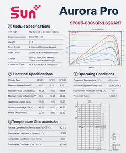 Panneau solaire monocristallin bifacial 630W avec 22,5% d'efficacité, cadre en aluminium, stock US pour les maisons - Product Image 2