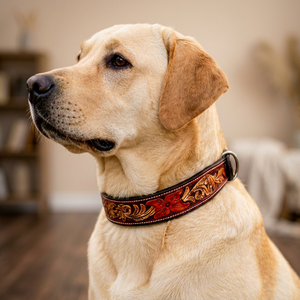 Collier pour chien en cuir de style ranch pour la distribution en gros par Divine International India - Product Image 1